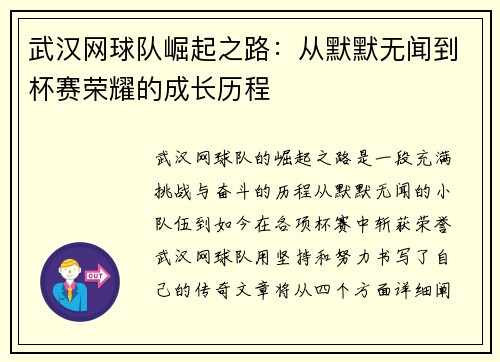 武汉网球队崛起之路：从默默无闻到杯赛荣耀的成长历程
